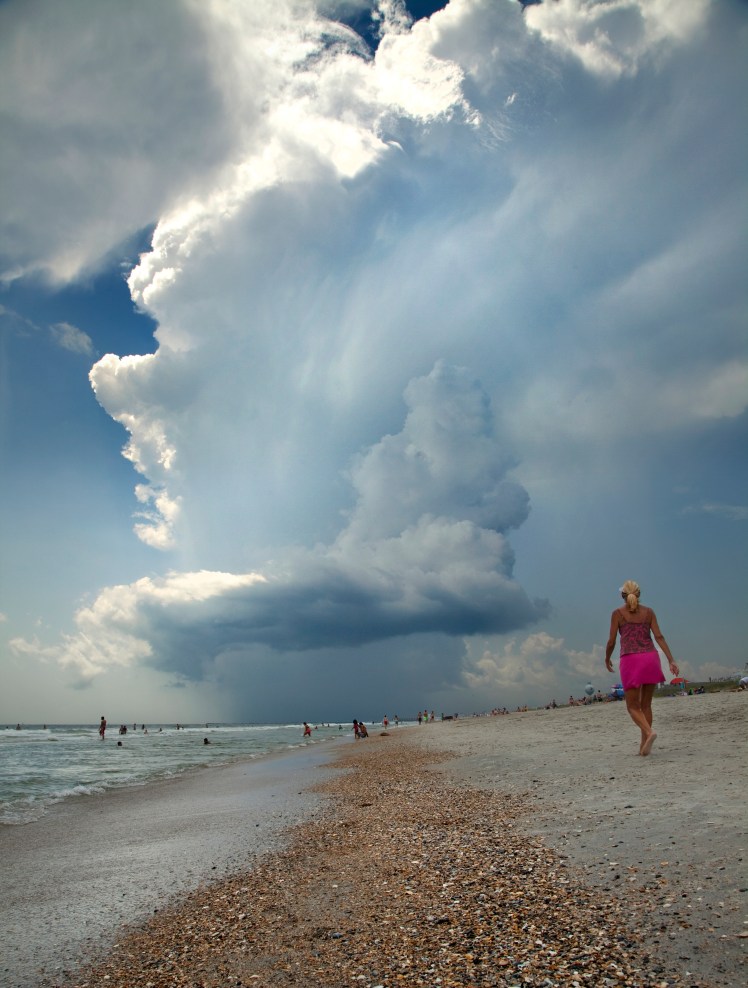 WhittakerDPorfolio1009