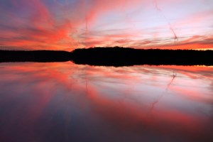 Reflection over Lake Higgins, Greensboro, NC.