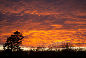 Screen Shot 2015-02-06 at 6.38.03 PM