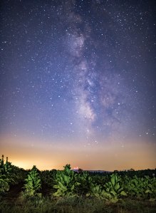 Milky Way, North Carolina, nc, tobacco