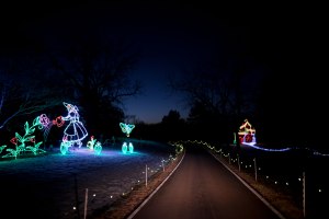 tanglewood, festival of lights, Clemmons, North Carolina, holiday, Christmas, attraction