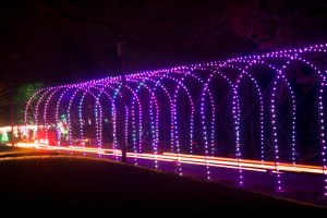 tanglewood, festival of lights, Clemmons, North Carolina, holiday, Christmas, attraction