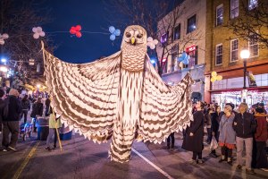 Greensboro, festival of lights, nc, december