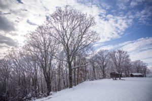 snow, December, singletree gun & plough