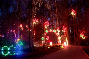 tanglewood, festival of lights, Clemmons, North Carolina, holiday, Christmas, attraction