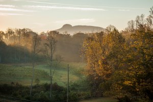 pilot mountain, North Carolina, jolo, vineyard