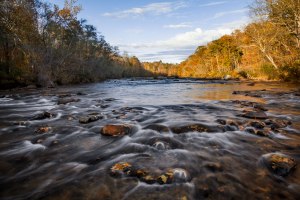 mayo river, North Carolina, water, canoe, kayak