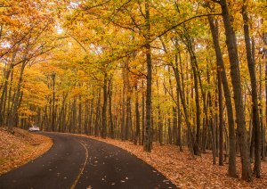 pilot mountain, state park, North Carolina, autumn