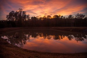 sunset, nc, Greensboro, autumn