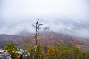 pilot mountain, nc, clouds, fog, autumn