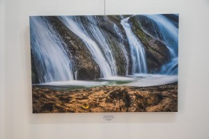 apple gallery, stokes county arts council, danbury, the arts place, North Carolina, art, photography, gallery