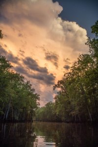 camping, kayak, paddling, platform, North Carolina