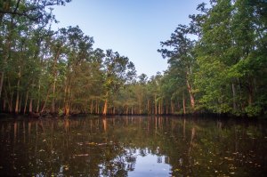 camping, kayak, paddling, platform, North Carolina