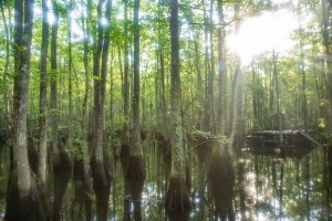 camping, kayak, paddling, platform, North Carolina