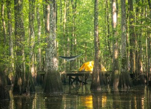 camping, kayak, paddling, platform, North Carolina