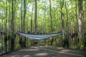 camping, kayak, paddling, platform, North Carolina