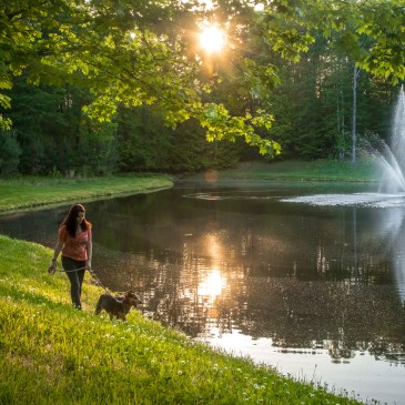 Godbey Creek Canine Rescue