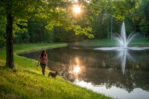 Godbey Creek Canine Rescue