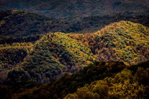 Boone; Blue Ridge Mountains; Blue Ridge Parkway; Autumn; Fall; North Carolina