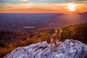 autumn; fall; pilot mountain; hanging rock state park; North Carolina