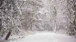 Greensboro, snow, storm, north carolina