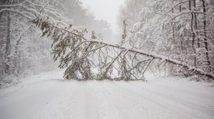 Greensboro, snow, storm, north carolina
